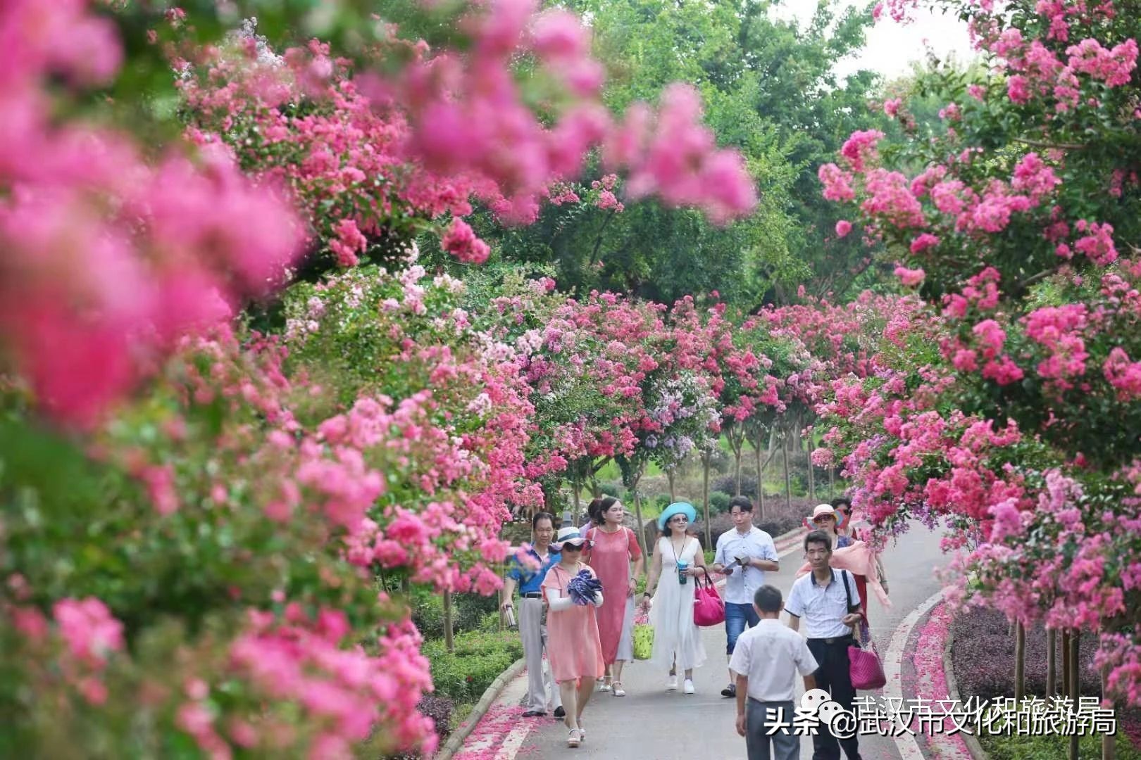 武汉市人的福利,武汉市发放105万张文旅惠民券
