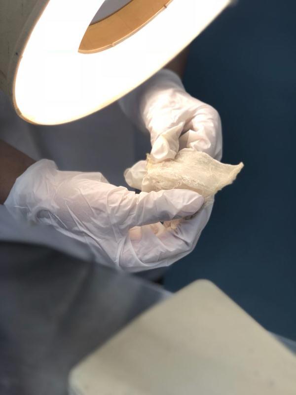 印尼燕窝和马来燕窝哪个好,印尼燕窝全球占比