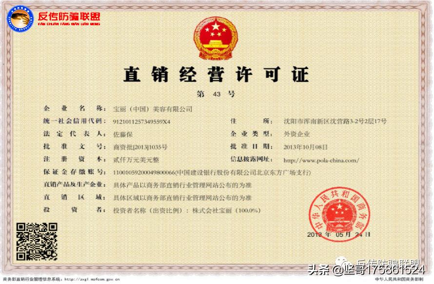 日本宝丽滋,日本宝丽的发展经历