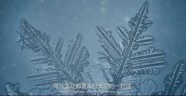 爽啊，一波爆炸！春节假期终于可以彻夜狂欢（上）