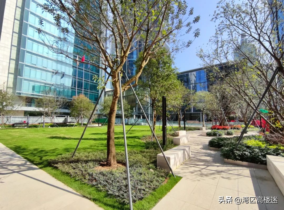 深圳黄金交易中心成立,上海黄金交易所新办公楼