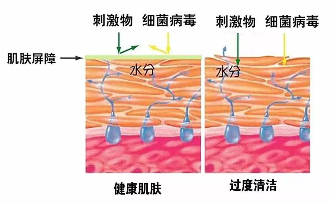 青春不再光芒依旧,青春不再青春痘还在的下一句
