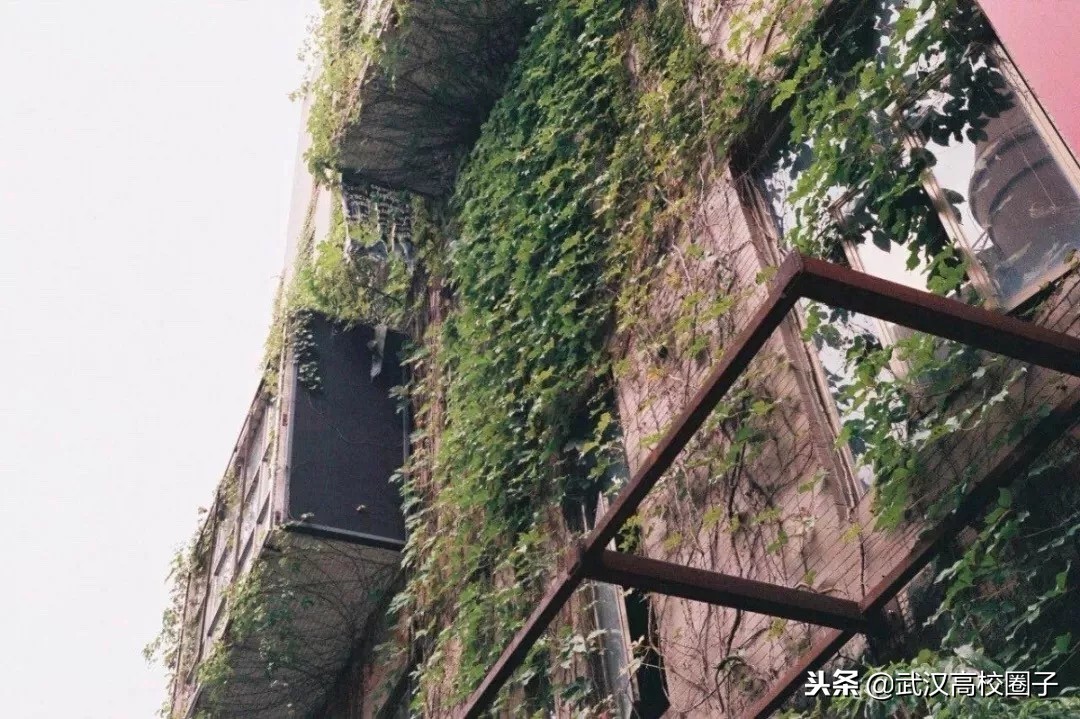 武汉租房实用攻略，即使年轻也不苟且的过