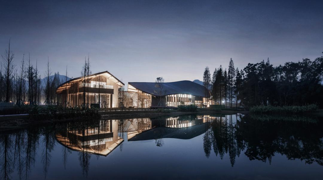 城市观察合肥,城市观察城市生活