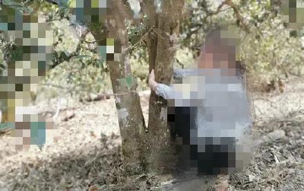 盘点买茶的套路,买茶的那些套路