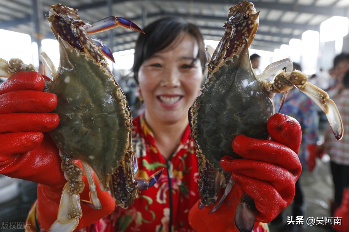 什么时候的螃蟹最肥美,教你挑选螃蟹的8个技巧