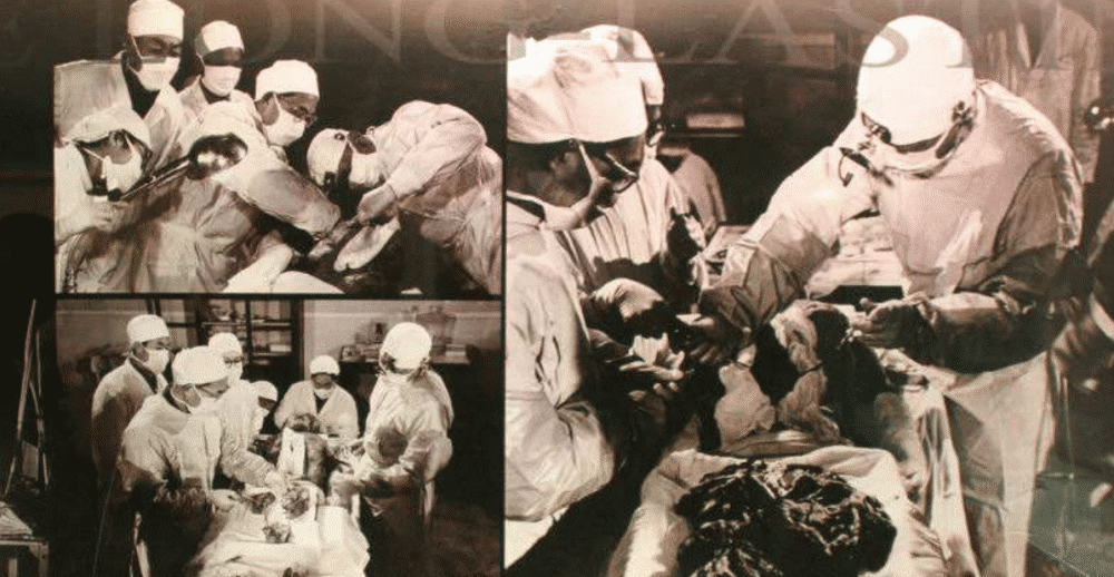 胆小鬼勿入深度解析,胆小勿进的秘密