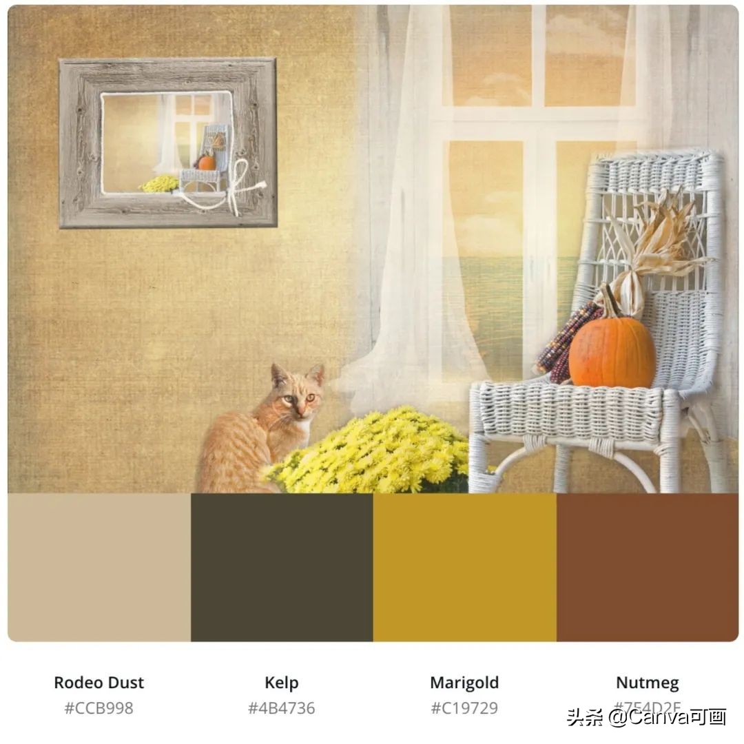 秋天配色插画秋高气爽,秋季高清插画