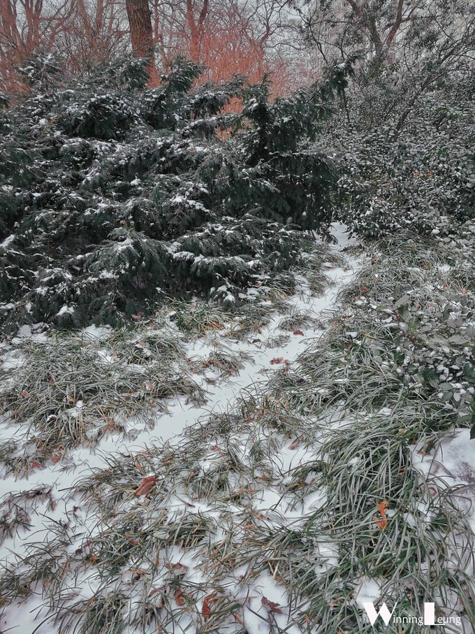 现实版未来之城纽约中央公园,纽约中央公园和北京奥体森林公园