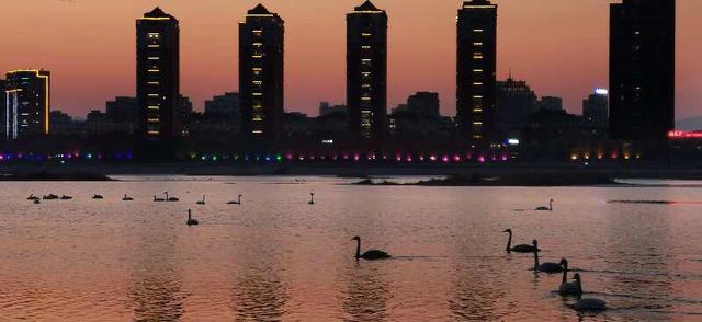 手拍世界（手机摄影平台）-群员作品集（总第584期）