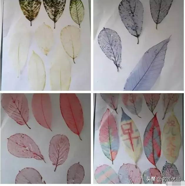 超惊艳的树叶手工,有趣的树叶手工制作