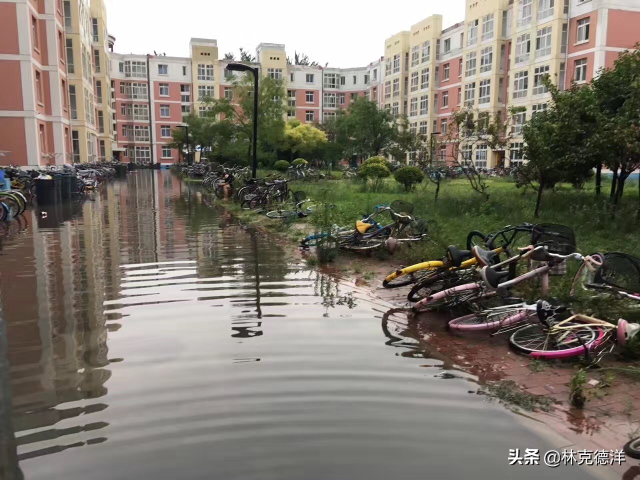 天海足球俱乐部最近消息,天海足球俱乐部近况