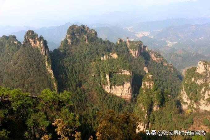 张家界森林公园亲子游攻略,张家界旅游攻略现在张家界气温