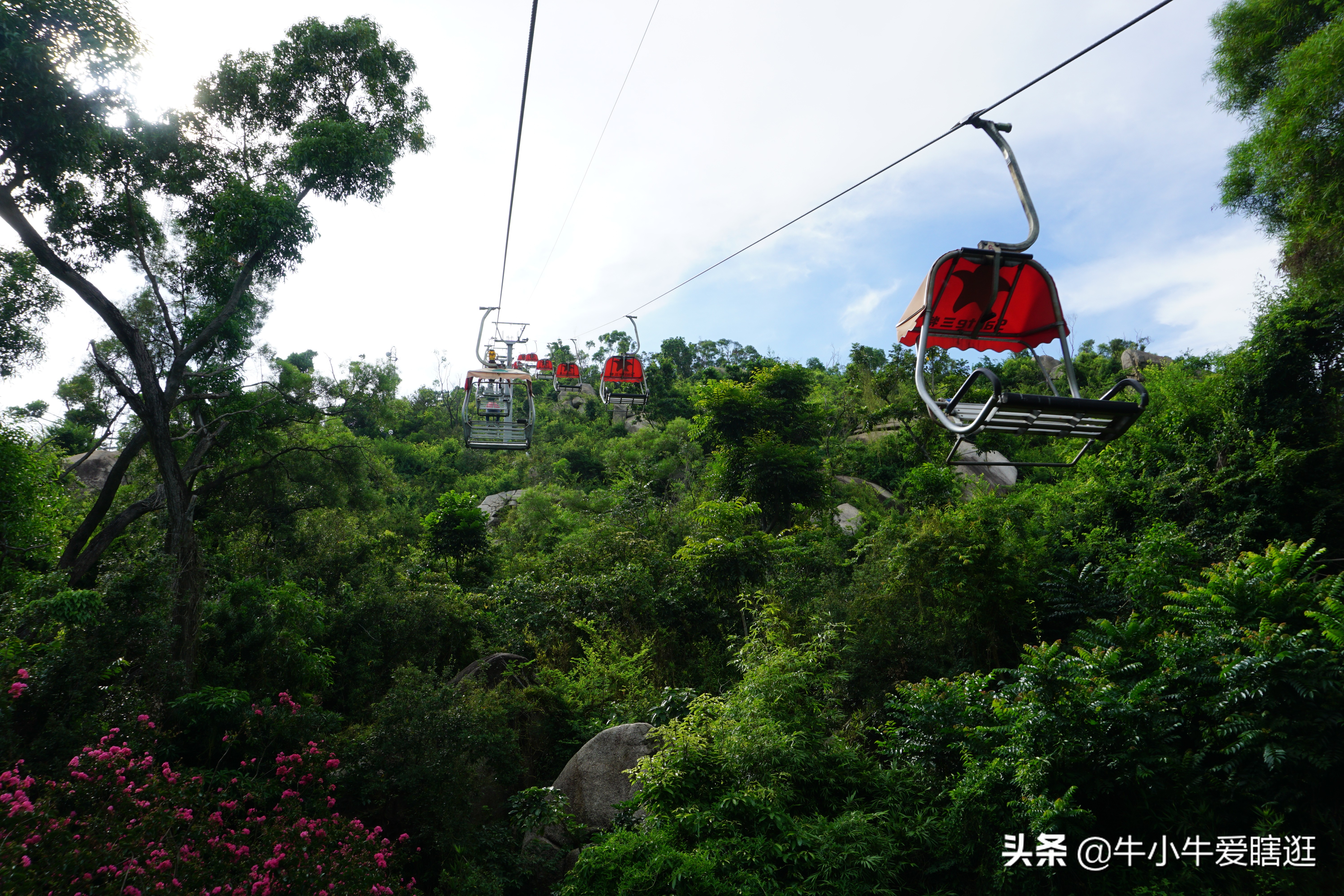 港珠澳攻略自由行,港珠澳深旅游攻略