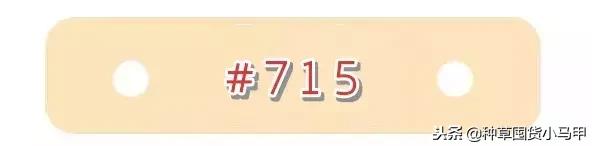 名创优品是骗子平台吗,名创优品有没有假的