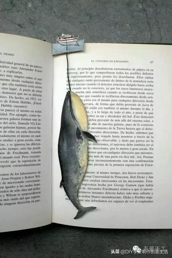 妯辫姳涔︾鎶樼焊,鎶樼焊涔︾鐢风敓