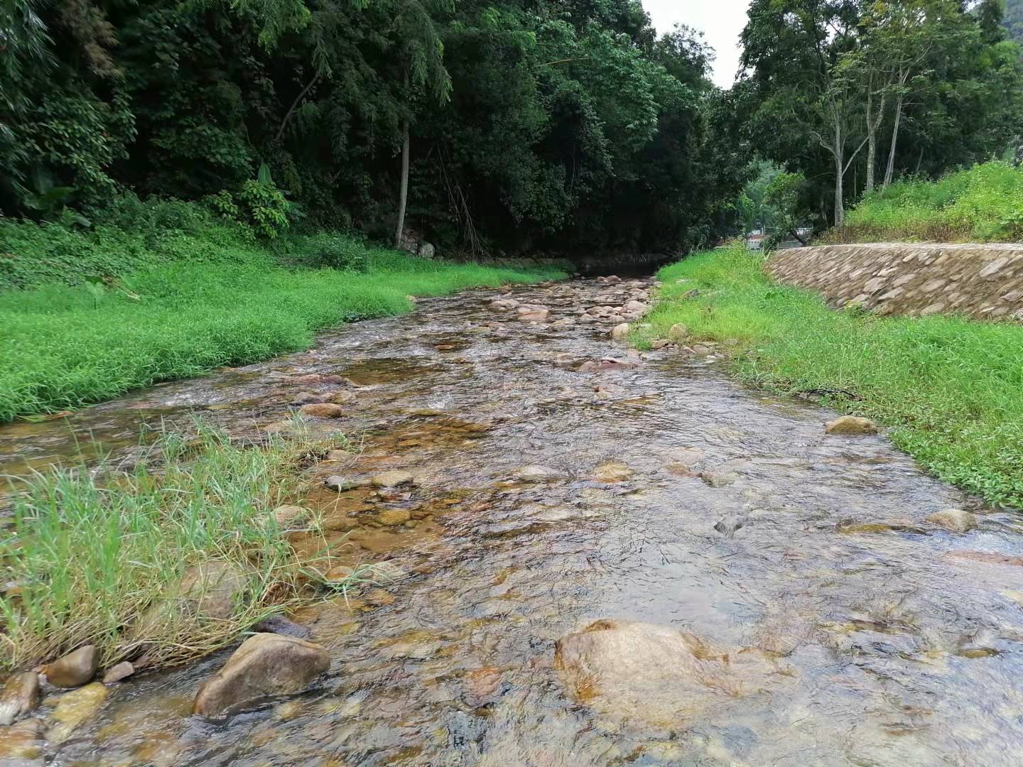 周边旅游景点推荐自驾游罗浮山,罗浮山风景区一日游攻略