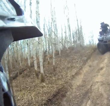 烫头发型搞笑图片大全,烫头卡通搞笑图片