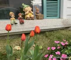 桂林优惠直播,广西桂林晚报直播