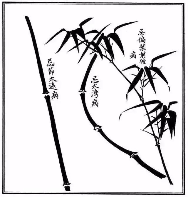 不带叶子的竹子怎么画,不会画画的竹子