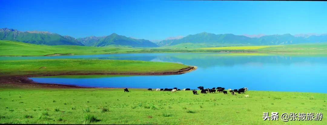 山丹军马场旅游去哪个马场,山丹军马场世界第一大军马场