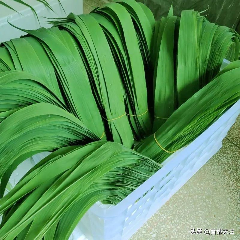 古人“防疫日”，又闻草木香，今日端午，愿您安康