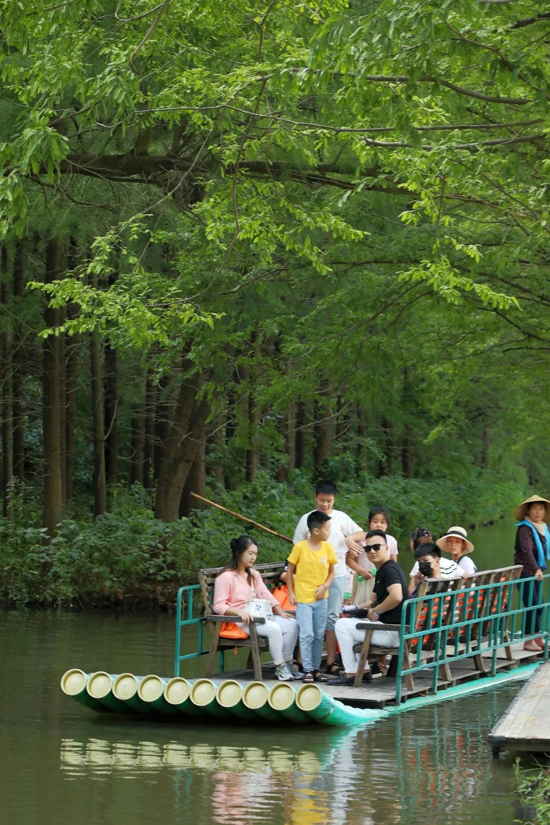 森氧之地，秋游必选！金湖万亩水上森林，真的别有趣味