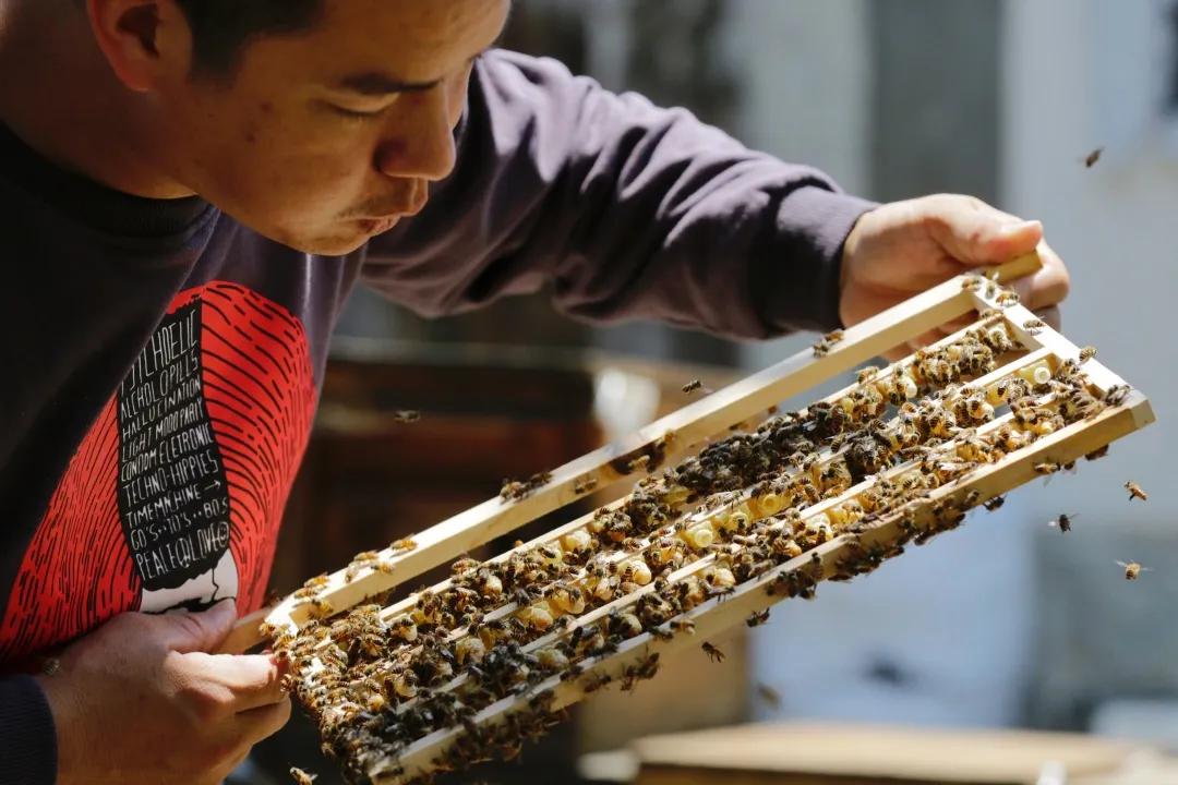 汕尾你一定要去的地方,汕尾最适合去哪里旅游