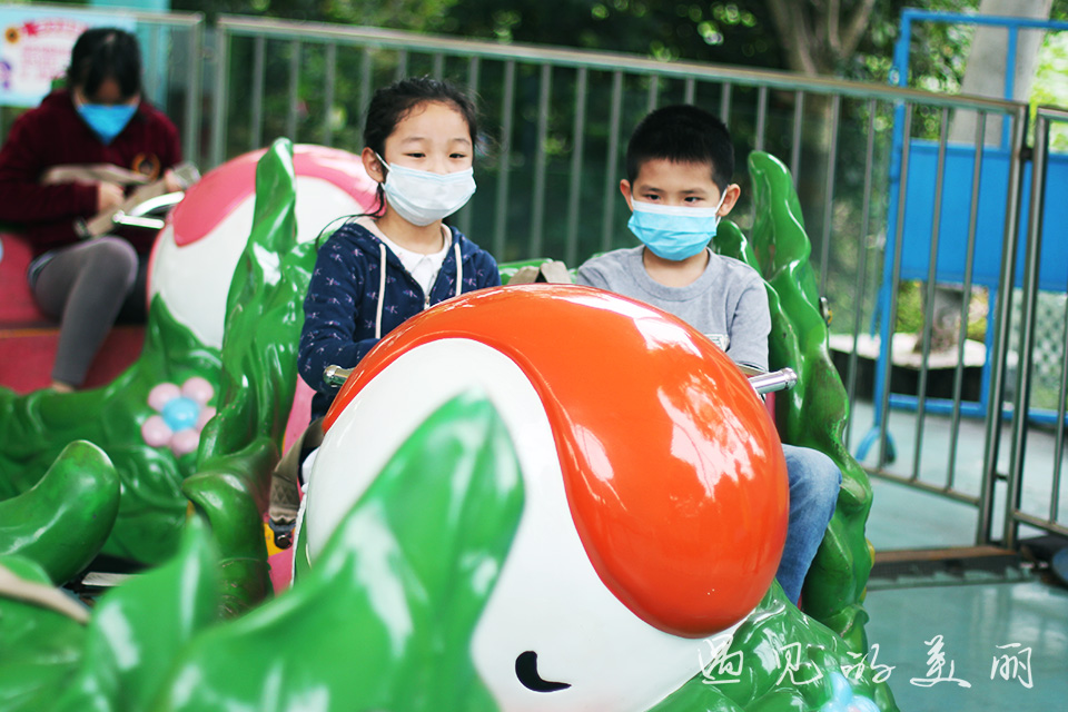 百万葵园有多坑,百万葵园免门票