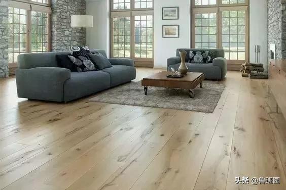 橡木种类大全及图片,史上最专业橡木介绍快来收藏吧