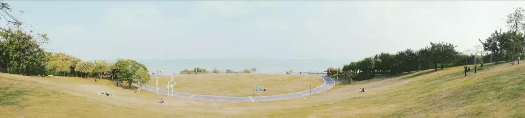 深圳湾公园这里有什么好吃的,深圳湾在哪里