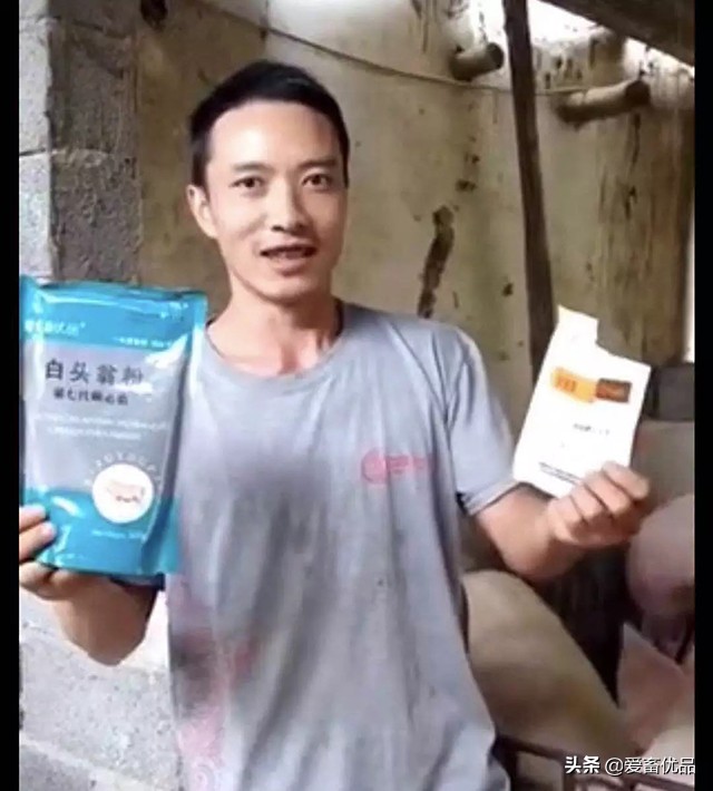 仔猪传染性腹泻怎么治效果好,仔猪传染性肠胃炎该怎么治