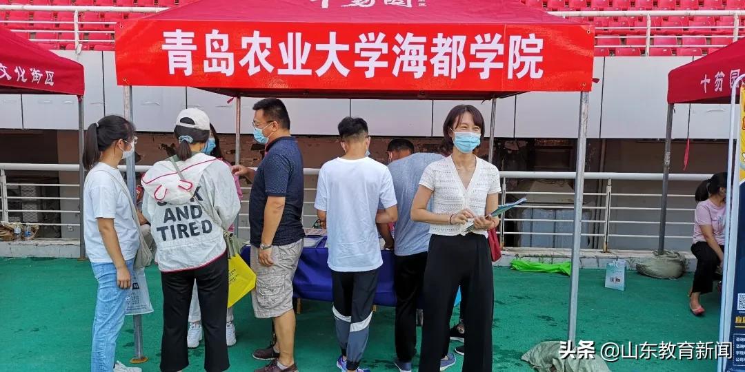 一次投满!青岛农业大学海都学院今年招生录取超火爆
