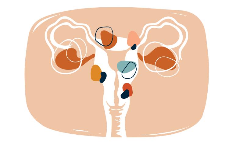 小腹胖的很快是什么原因,小腹变大是肝脏不好吗