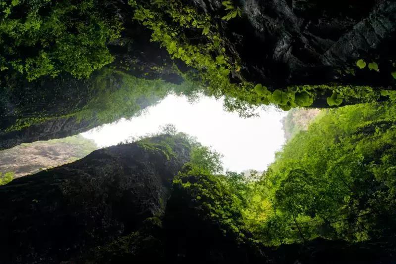城里热山里凉快视频,高温天气清凉避暑好胜地