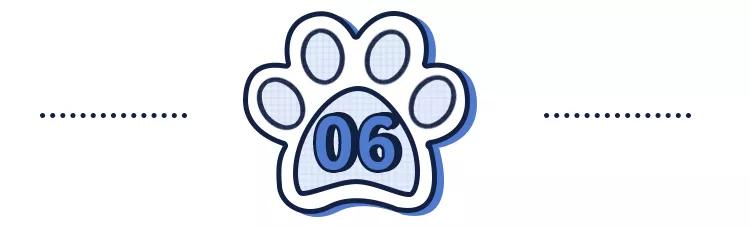 猫狗必备的药,收藏必备药品