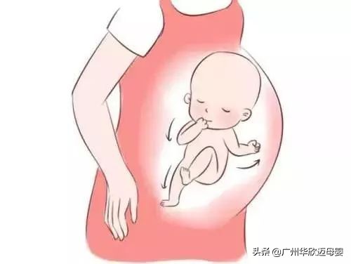 一般怀孕几个月可以感受到胎动,孕妇几个月开始有胎动什么感觉