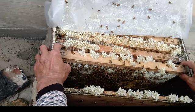 藏在深山里的宝藏,藏在大山里的财富