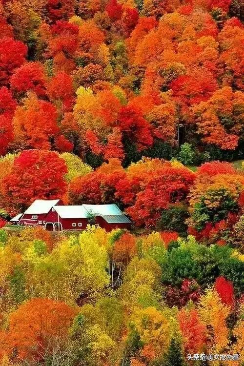 秋天到家乡,秋天在我身边走过