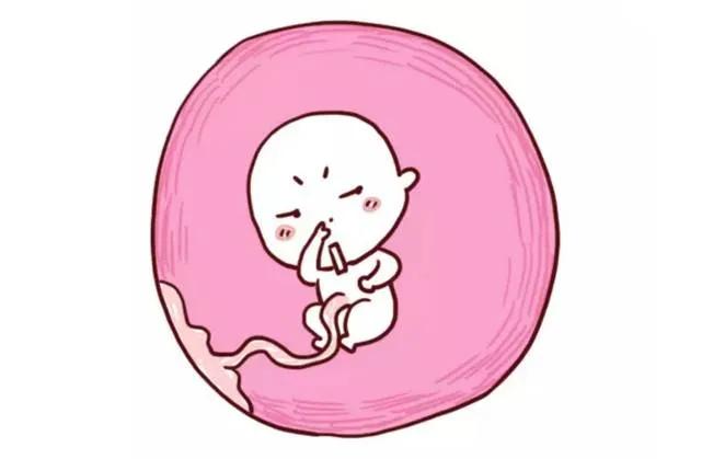 做彩超说胎儿股骨短,四维胎儿腿骨短怎么办