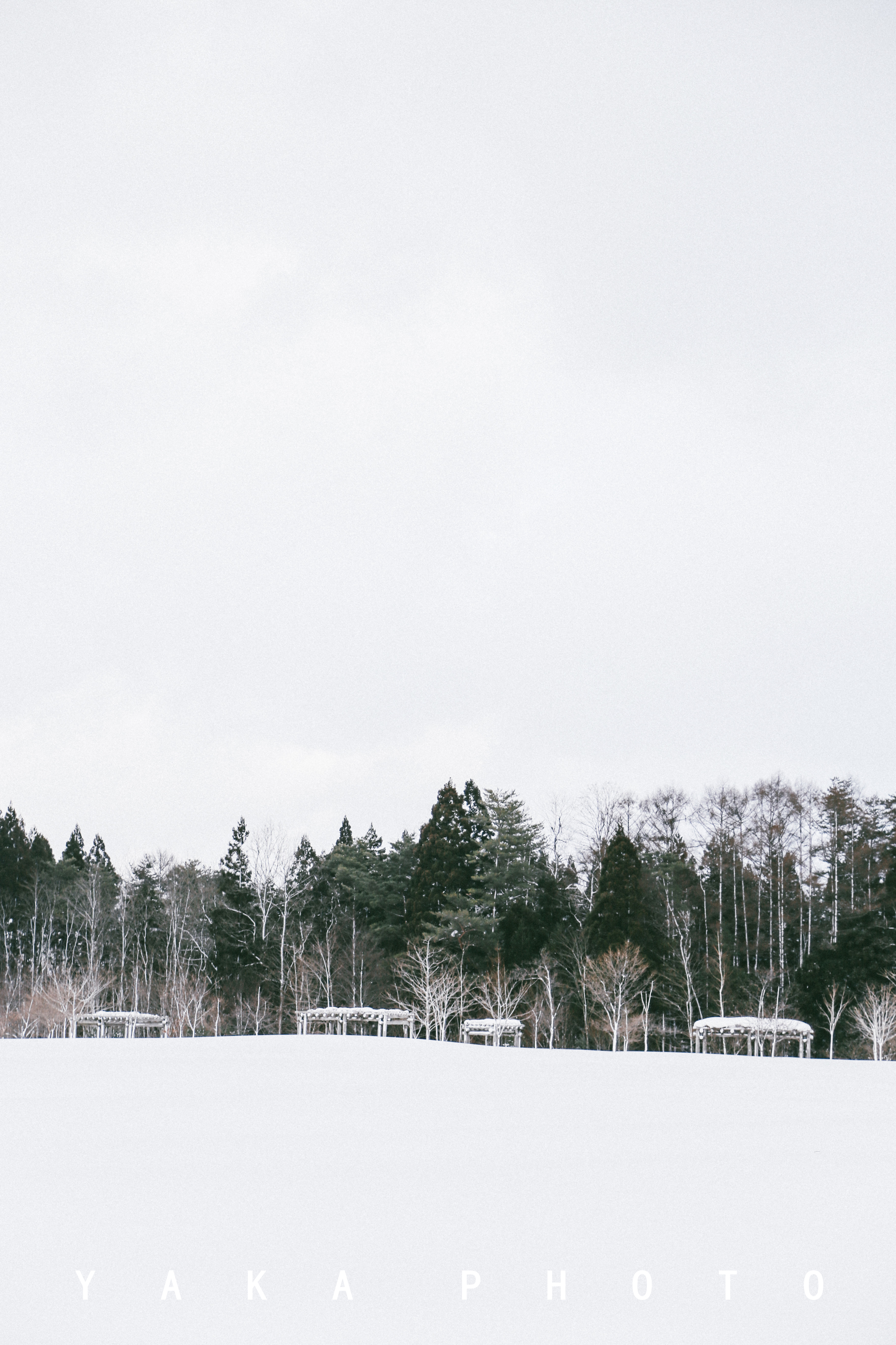 日本青森睡魔祭的寓意,青森星野度假村睡魔祭