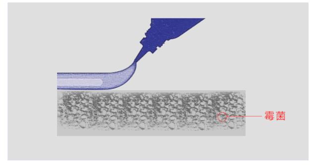 冰箱密封条有霉点？别用酒精擦，教你一招轻松搞定，简单又方便