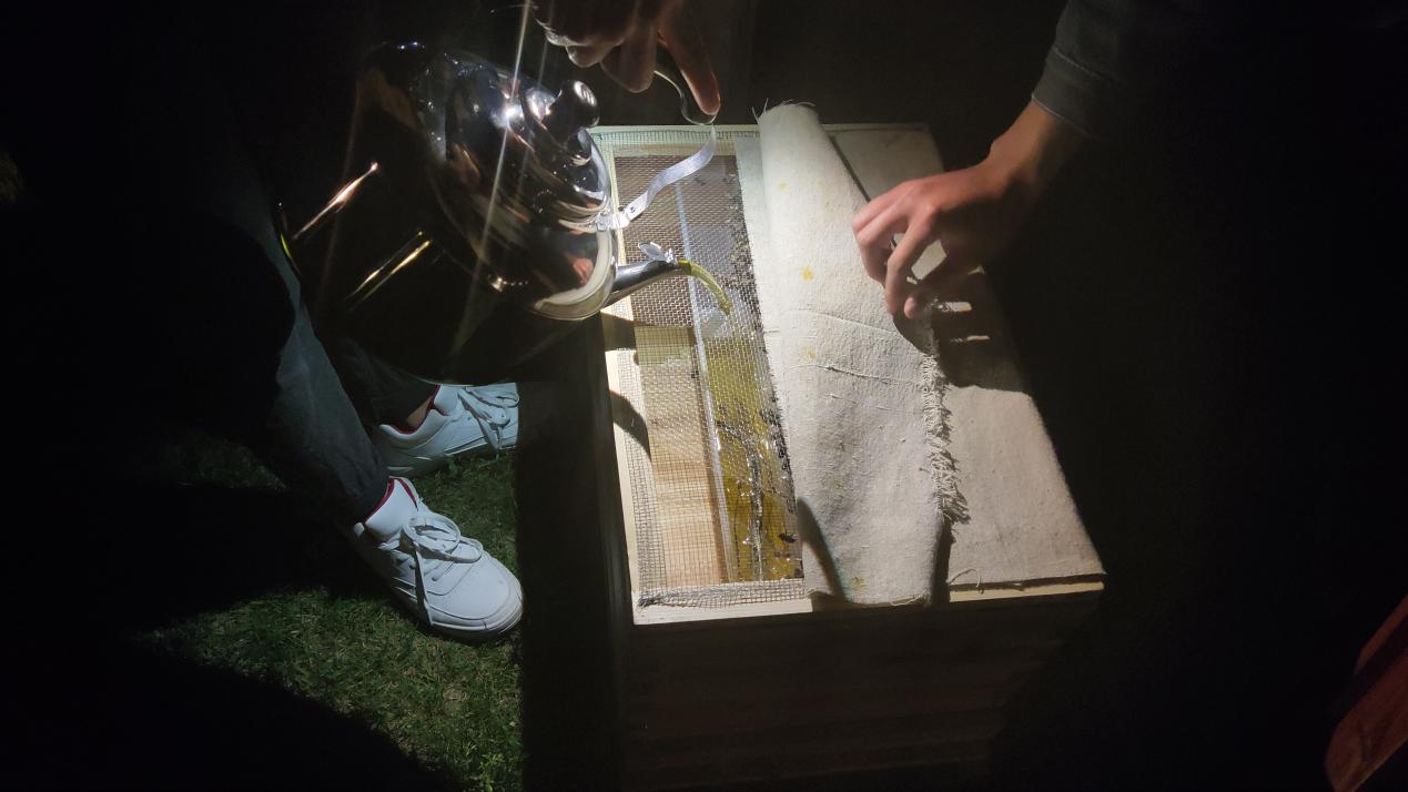 蜜蜂养殖，对比这3种糖的异同点，饲喂蜂群不迷茫