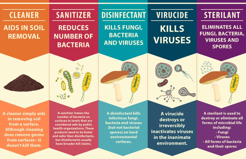 特朗普说注射消毒剂能治新冠吗,特朗普谈冠状病毒用消毒剂