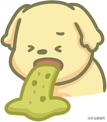 狗狗吐是怎么回事吃什么药,狗狗吐了褐色的呕吐物怎么治疗