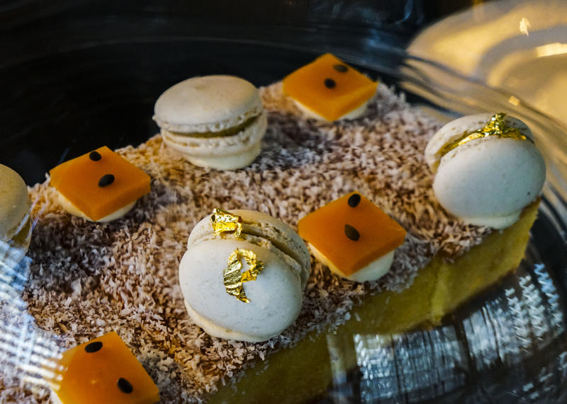 从天空到海洋到大地的视频,从天空到海底绘本