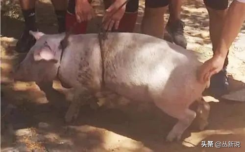 小罗在监狱里的足球,小罗监狱足球赛5球6助攻