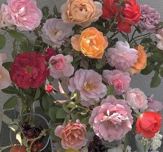 维多利亚女王为什么很有名,维多利亚女王是个怎样的人