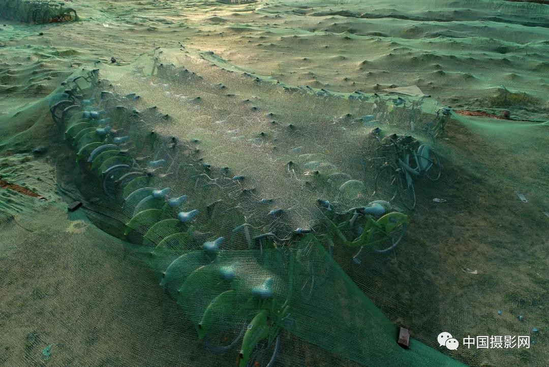 第七届全国摄影十杰获奖者,中国摄影年度人物排名