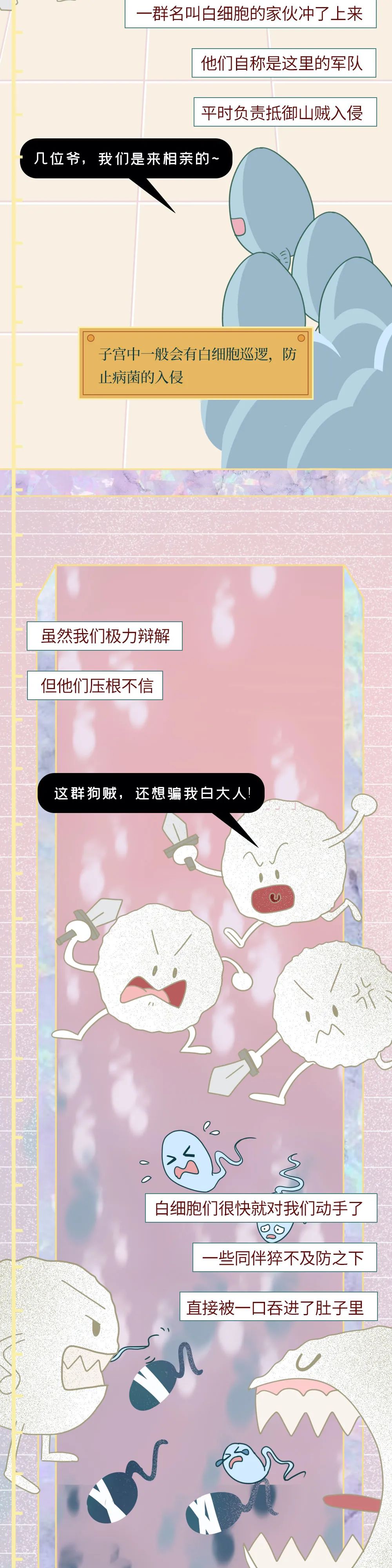 精子进入人体24小时变化,男性精子在体内存活时间